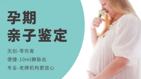 内蒙古胎儿如何办理亲子鉴定,内蒙古无创产前亲子鉴定多少费用 内蒙古胎儿如何办理亲子鉴定,内蒙古无创产前亲子鉴定多少费用